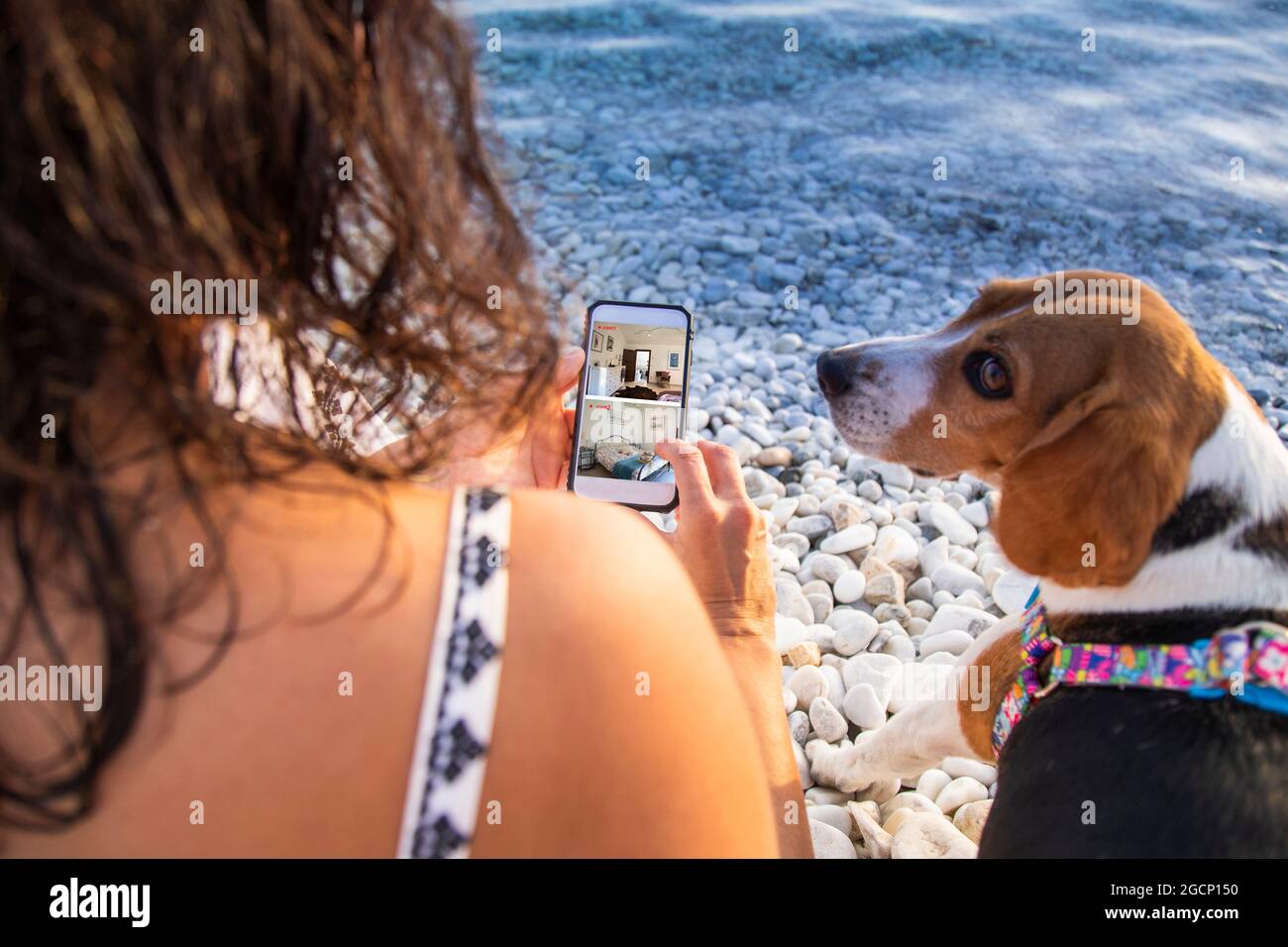 donna con il cane in vacanza sta controllando il video di sorveglianza domestica con il cellulare Foto Stock