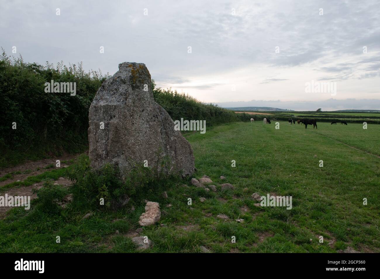 Pietra in piedi a Knelston, il Gower, Galles, Regno Unito Foto Stock