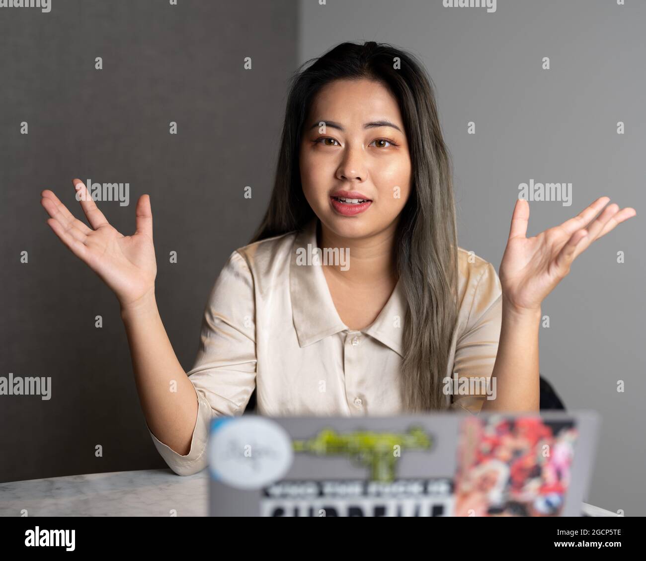 Edgy Asian Female Data Scientist che spiega i risultati dell'analisi Foto Stock
