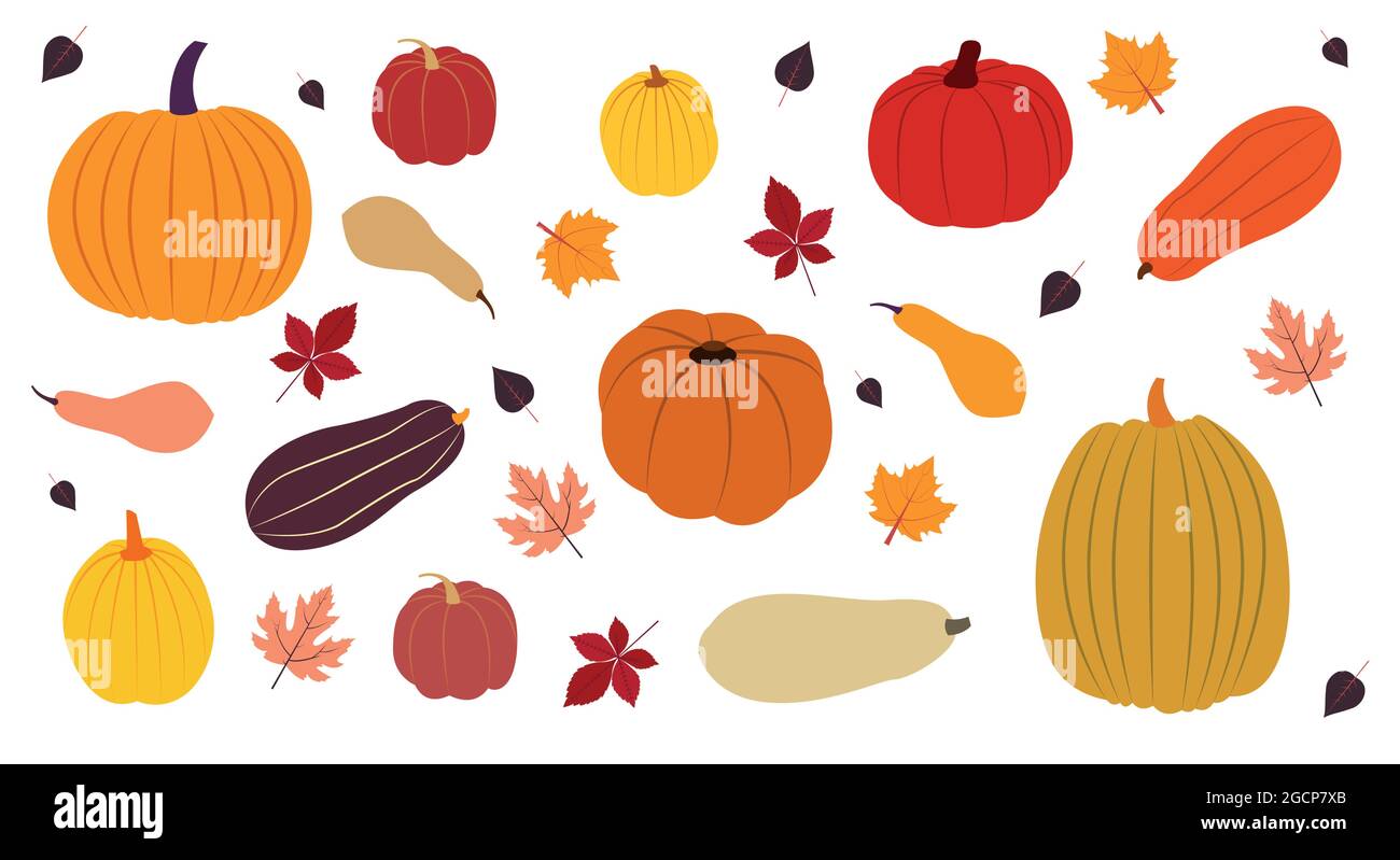 Set di icone di zucca. Illustrazione vettoriale in design piatto Illustrazione Vettoriale