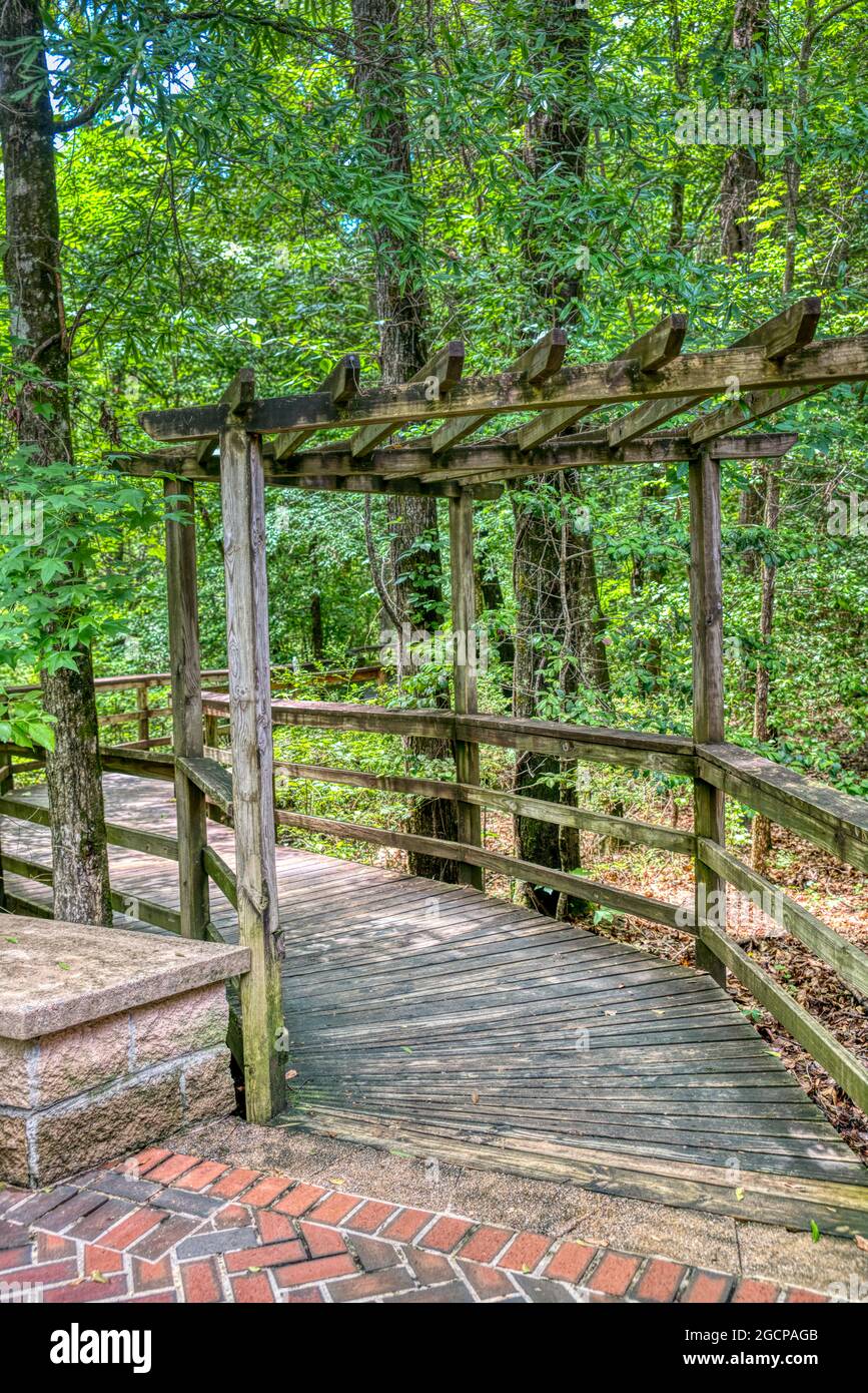 Il Boardwalk sopraelevato che conduce attraverso la più grande foresta di latifoglie del vecchio fondo degli Stati Uniti al Congaree National Park in South Carolina. Foto Stock