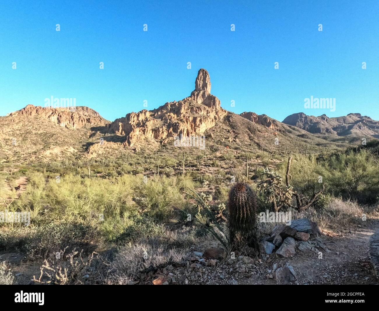 Escursioni attraverso le Superstition Mountains sull'Arizona Trail, Arizona, U.S.A Foto Stock