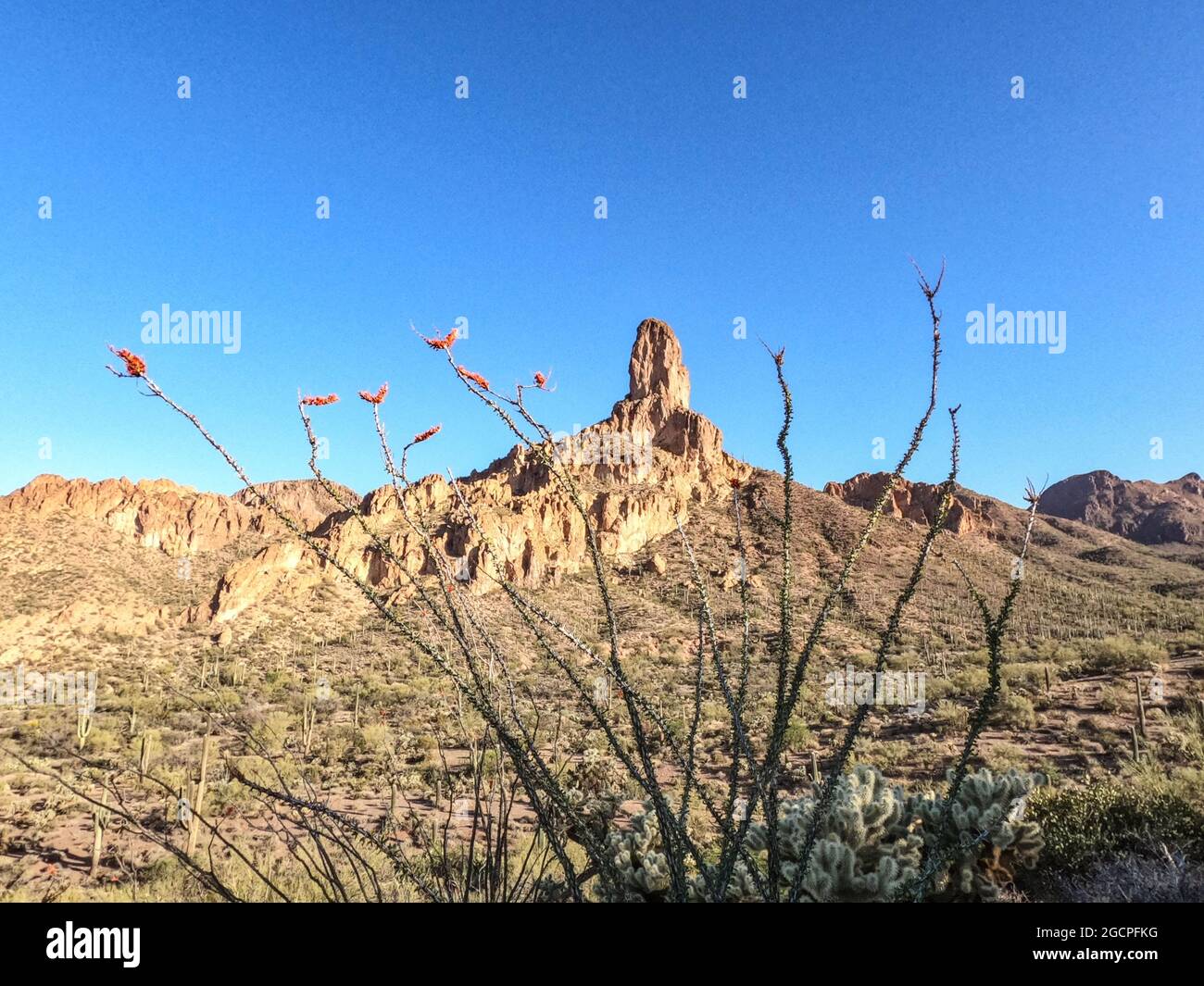 Escursioni attraverso le Superstition Mountains sull'Arizona Trail, Arizona, U.S.A Foto Stock