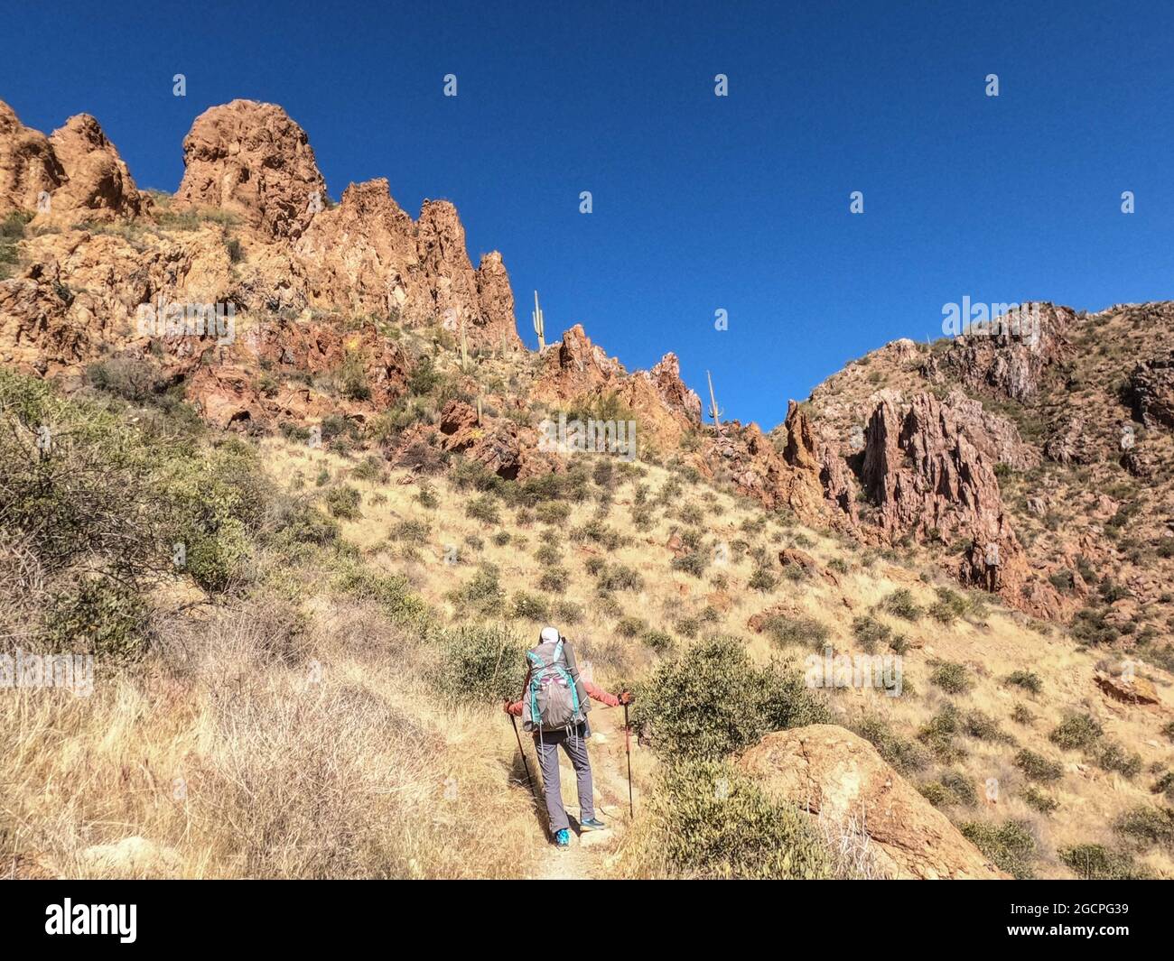 Escursioni attraverso il deserto di sonora sull'Arizona Trail, Arizona, U. S. A. Foto Stock