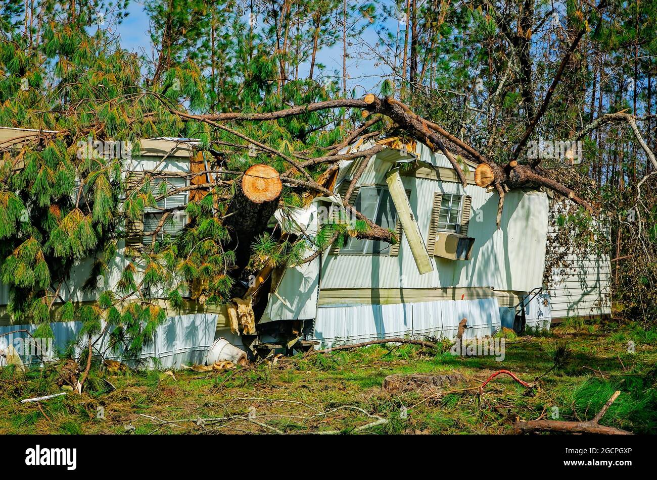 Gli alberi caduti si trovano in una casa mobile al Twin Oaks Mobile Home Park dopo l'uragano Michael, 18 ottobre 2018, a Marianna, Florida. Foto Stock