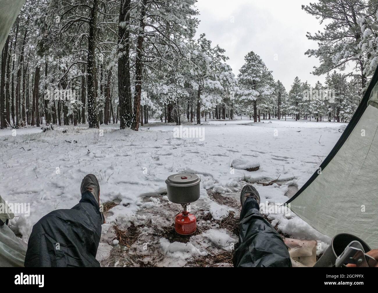Campeggio nella neve sul Mogollon Rim, Mormon Lake, Arizona, U.S.A Foto Stock
