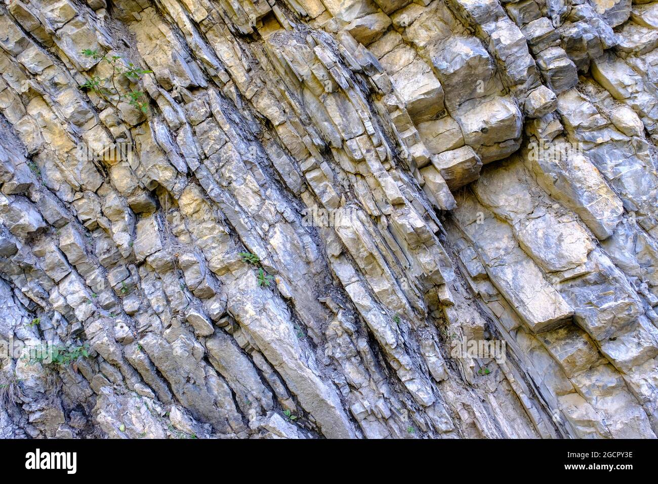 Calcare, stratificato, geologia, dispiegamento, Tuftlalm, Daniel, Lermoos, Zugspitzarena, Tirolo, Austria Foto Stock