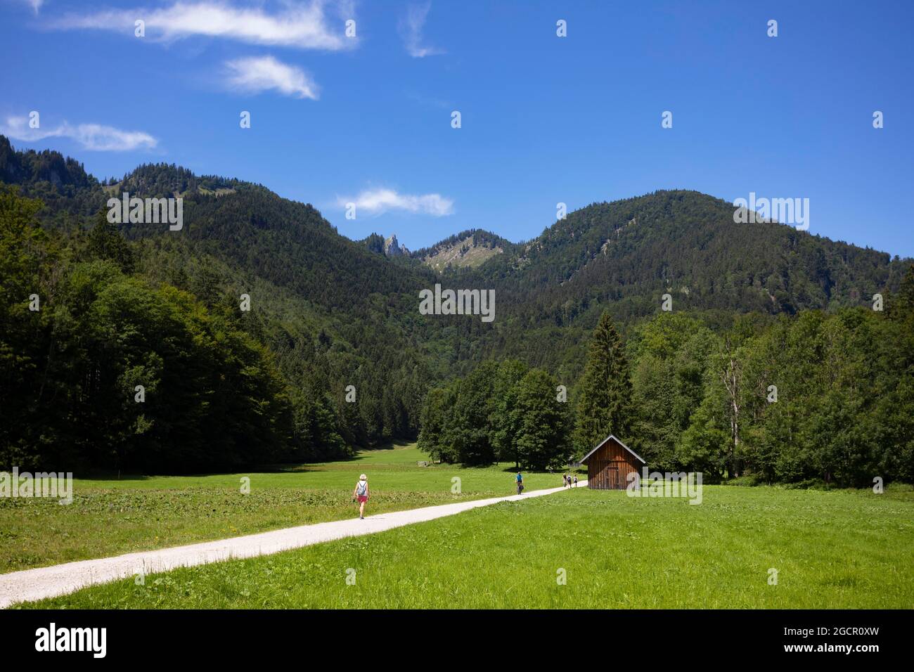 Escursionista sul sentiero da Schwarzensee a Moosalm comune di St.Wolfgang, Salzkammergut, alta Austria, Austria Foto Stock