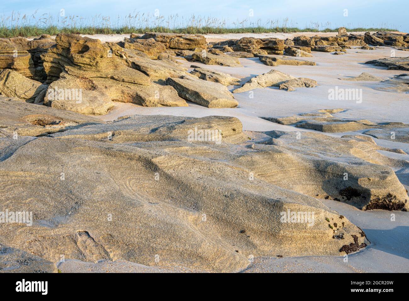 Coquina si affaccia sulla spiaggia del Washington Oaks Gardens state Park a Palm Coast, Florida. (STATI UNITI) Foto Stock