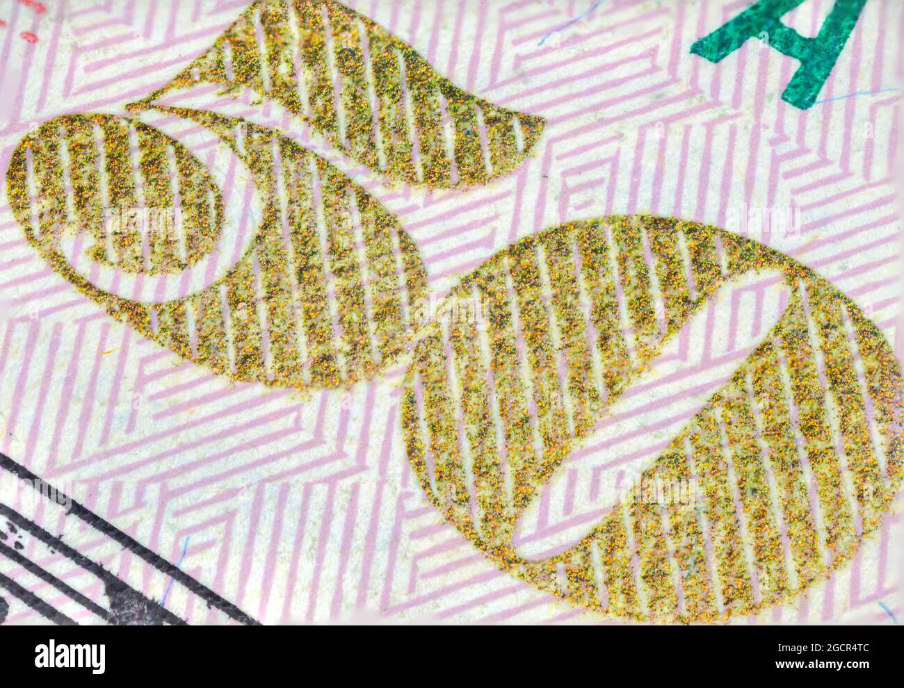 Primo piano di una banconota da 50 dollari USA. Primo piano di cinquanta dollari americani nota. Il dollaro AMERICANO è la valuta mondiale. Ritratto di Ulisse Grant sul fr Foto Stock