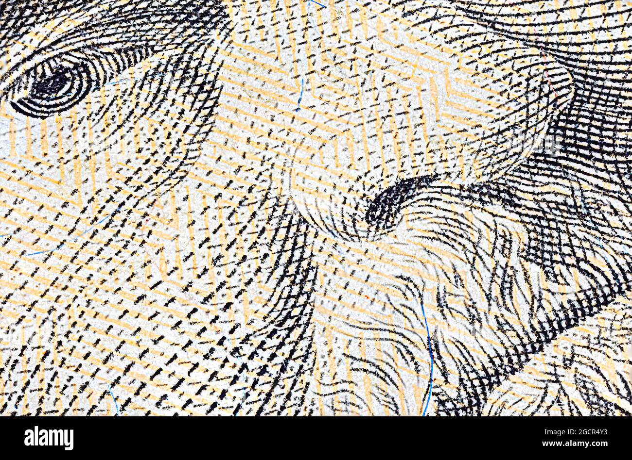 Primo piano di una banconota da 50 dollari USA. Primo piano di cinquanta dollari americani nota. Il dollaro AMERICANO è la valuta mondiale. Ritratto di Ulisse Grant sul fr Foto Stock