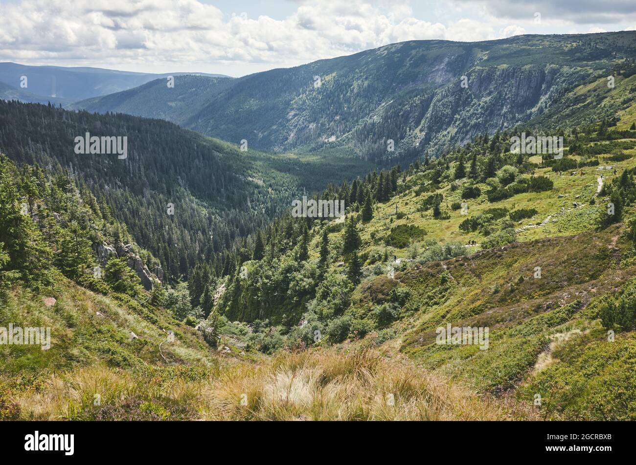 Karkonosze (Montagne Giganti) vista panoramica, Repubblica Ceca. Foto Stock