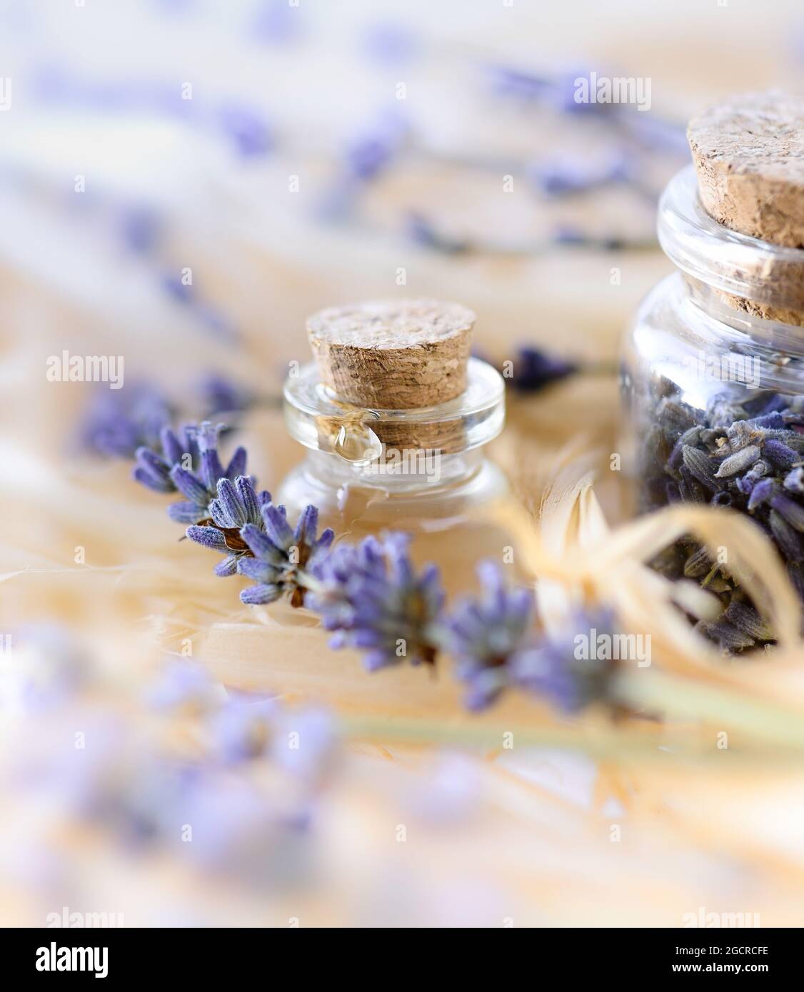 Olio essenziale di lavanda e fiori secchi di lavanda. Foto Stock