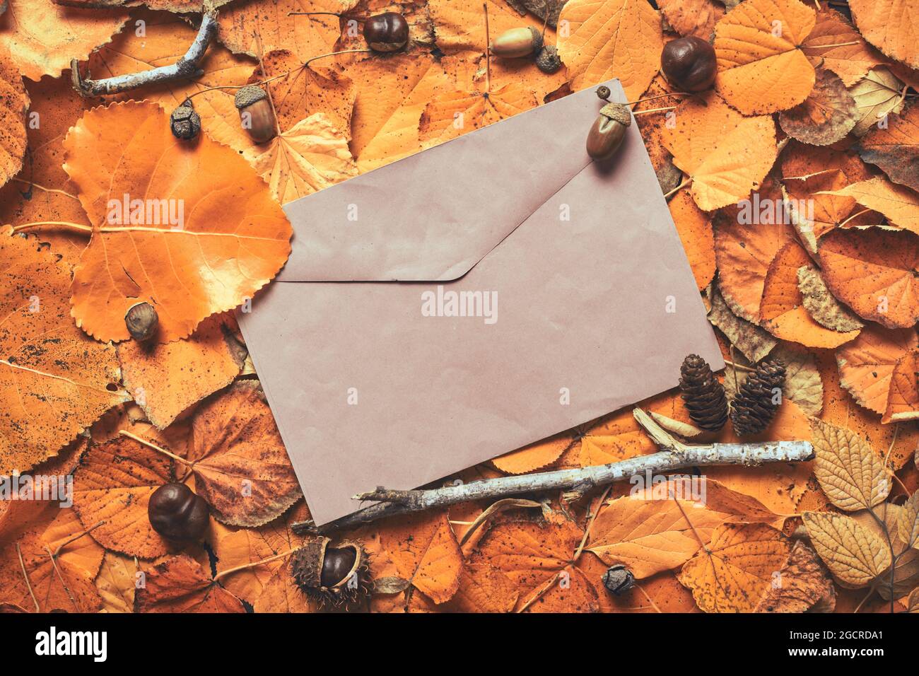 Layout autunnale creativo con busta e foglie asciutte, vista dall'alto piatta Foto Stock