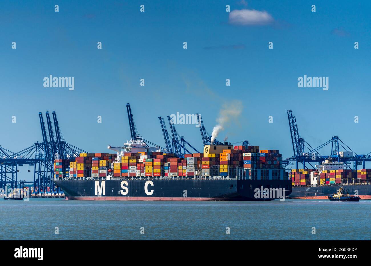 MSC Rapallo Container Ship entra nel porto di Felixstowe. Spedizione inquinamento atmosferico nei porti del Regno Unito. Foto Stock