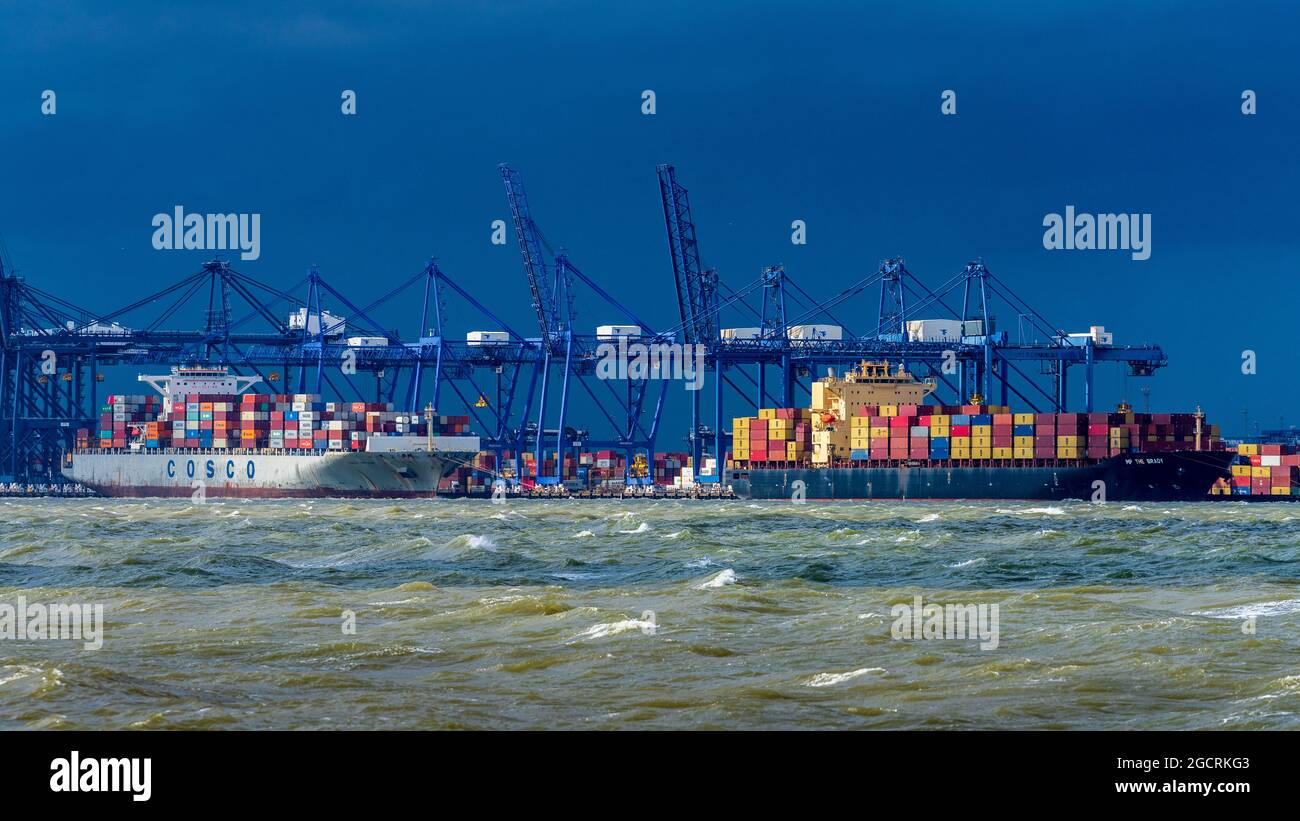 Catene di approvvigionamento globali in mari tempestosi. I container sono scaricati dalle navi MP The Brady e COSCO Vietnam nel porto di Felixstowe. Catena di fornitura globale Foto Stock
