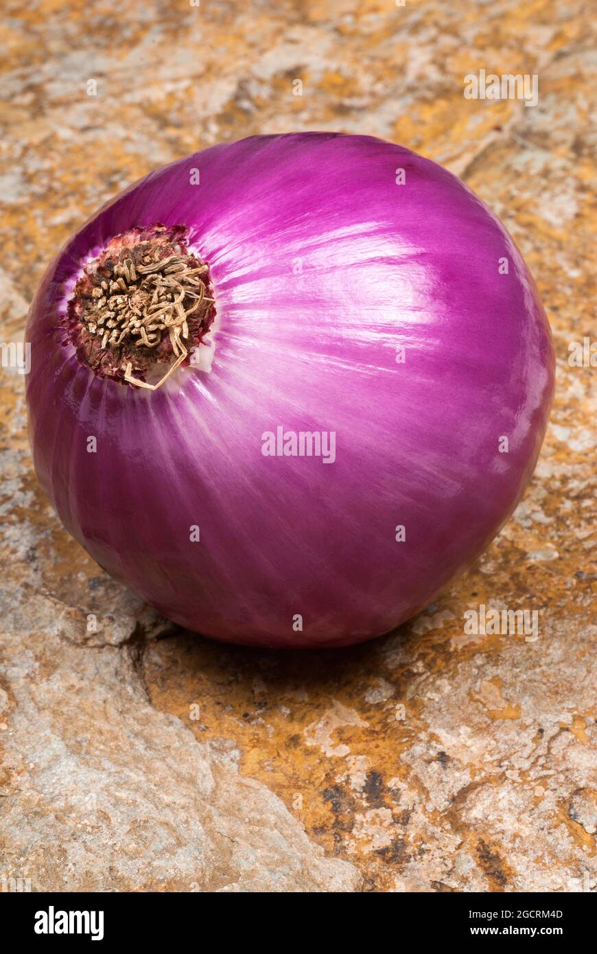Aromatica cipolla viola organica molto fresca Foto stock - Alamy