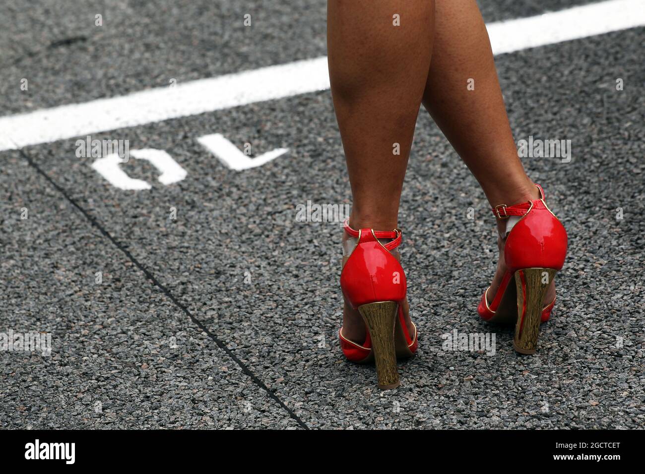 Griglia ragazza. Gran Premio del Brasile, domenica 24 novembre 2013. San Paolo, Brasile. Foto Stock