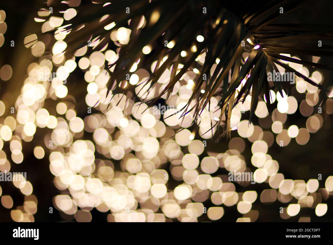 Atmosfera paddock. Formula uno Test, Bahrain Test One, Day One, mercoledì 19 febbraio 2014. Sakhir, Bahrein. Foto Stock