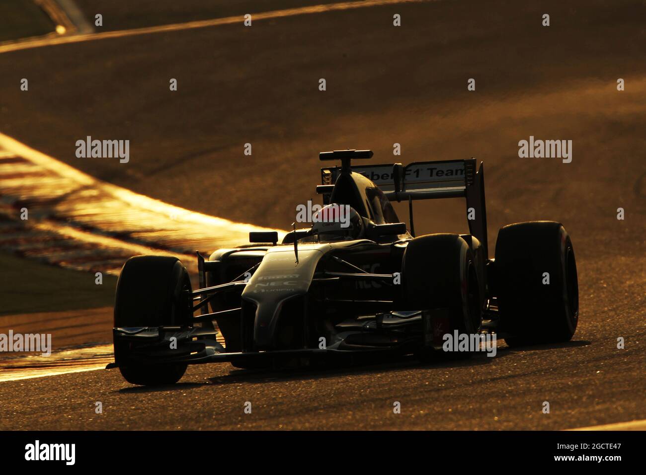 Adrian Sutil (GER) Sauber C33. Test di Formula uno, Test del Bahrain due, giorno uno, giovedì 27 febbraio 2014. Sakhir, Bahrein. Foto Stock