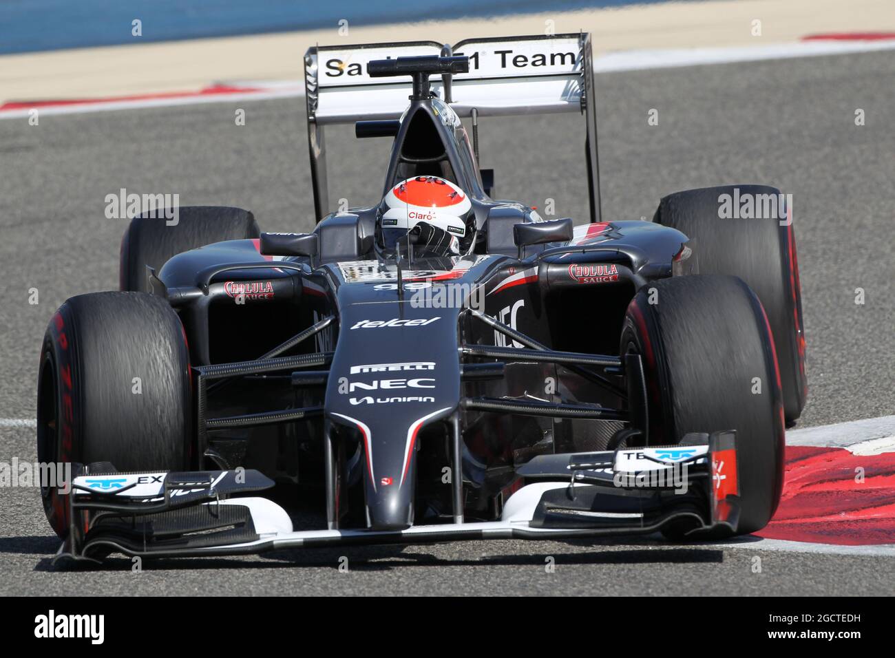 Adrian Sutil (GER) Sauber C33. Formula uno Test, Bahrain Test due, Day Four, Domenica 2 Marzo 2014. Sakhir, Bahrein. Foto Stock
