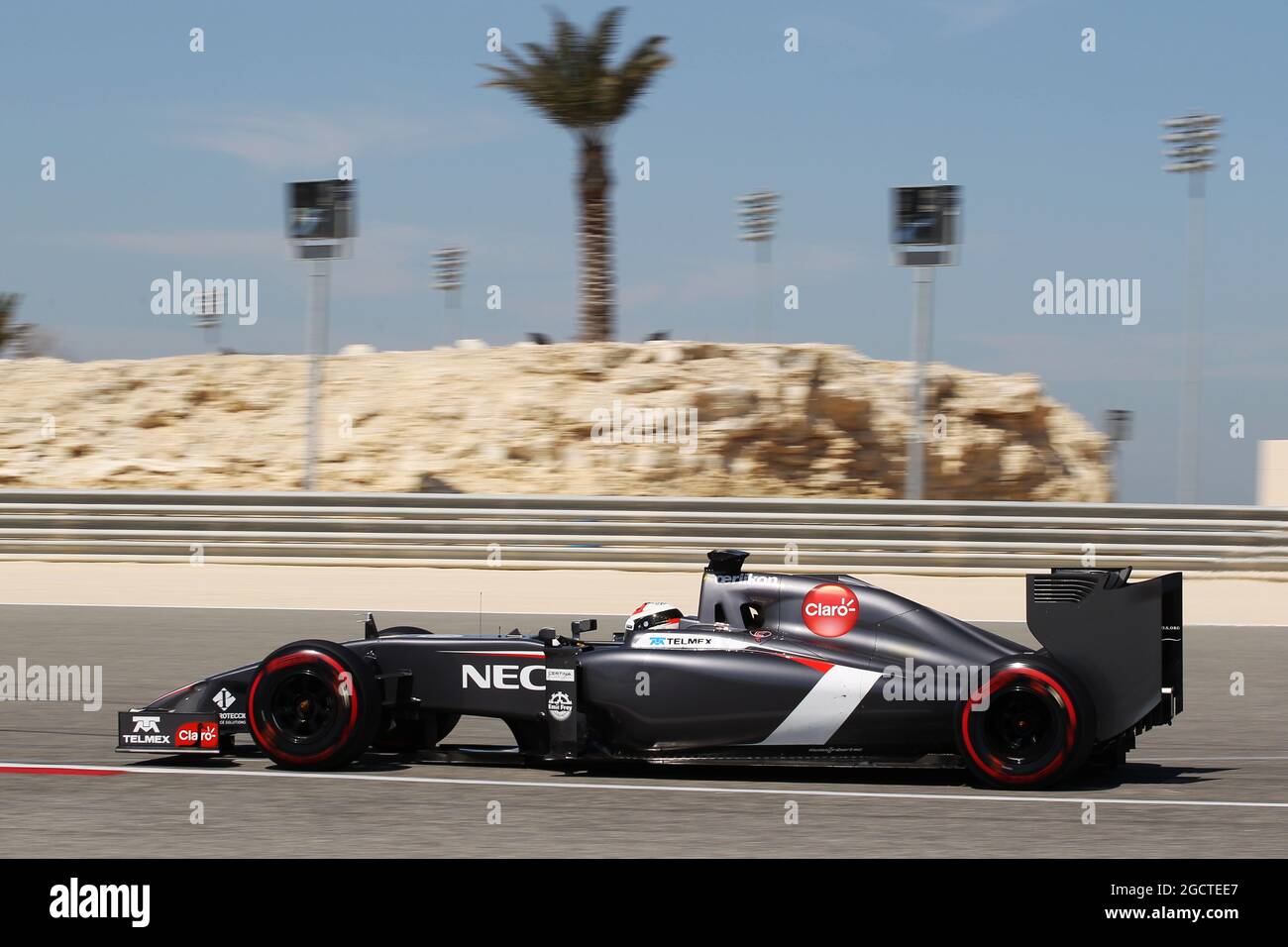 Adrian Sutil (GER) Sauber C33. Formula uno Test, Bahrain Test due, Day Four, Domenica 2 Marzo 2014. Sakhir, Bahrein. Foto Stock
