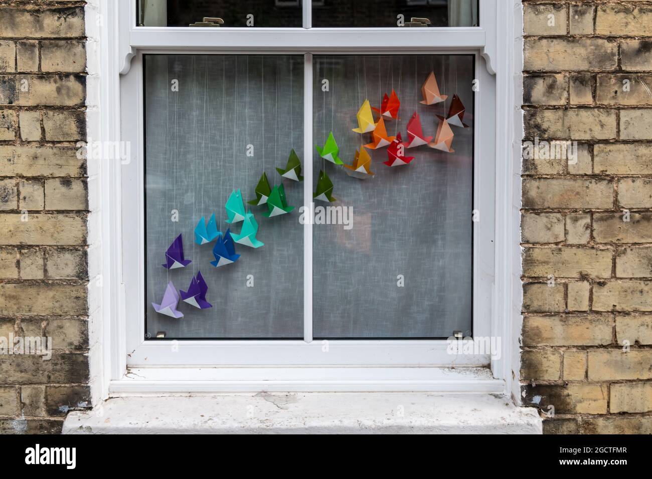 Un arcobaleno di uccelli origami è visualizzato nella finestra anteriore di una casa a Cambridge, Regno Unito. Foto Stock