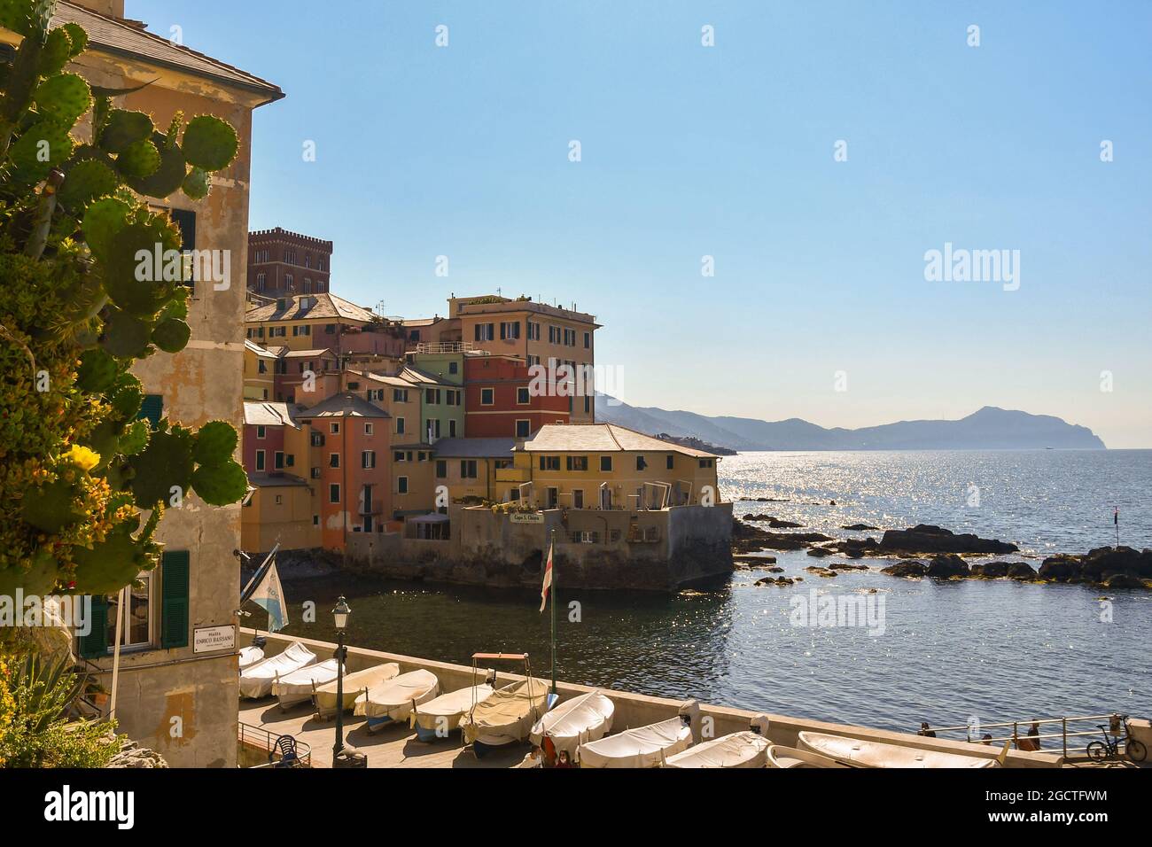 Vista del villaggio di pescatori di Boccadasse con una pianta di pero in primo piano e il promontorio di Portofino all'orizzonte marino, Genova, Italia Foto Stock