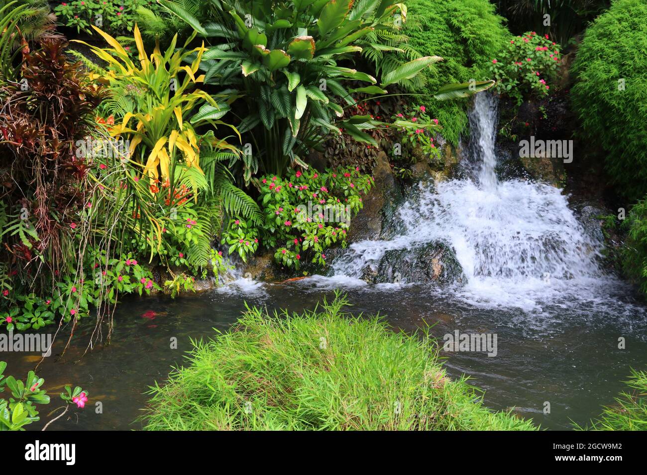 Guadalupa - Caraibi destinazione di vacanza. Il giardino botanico di Deshaies. Foto Stock
