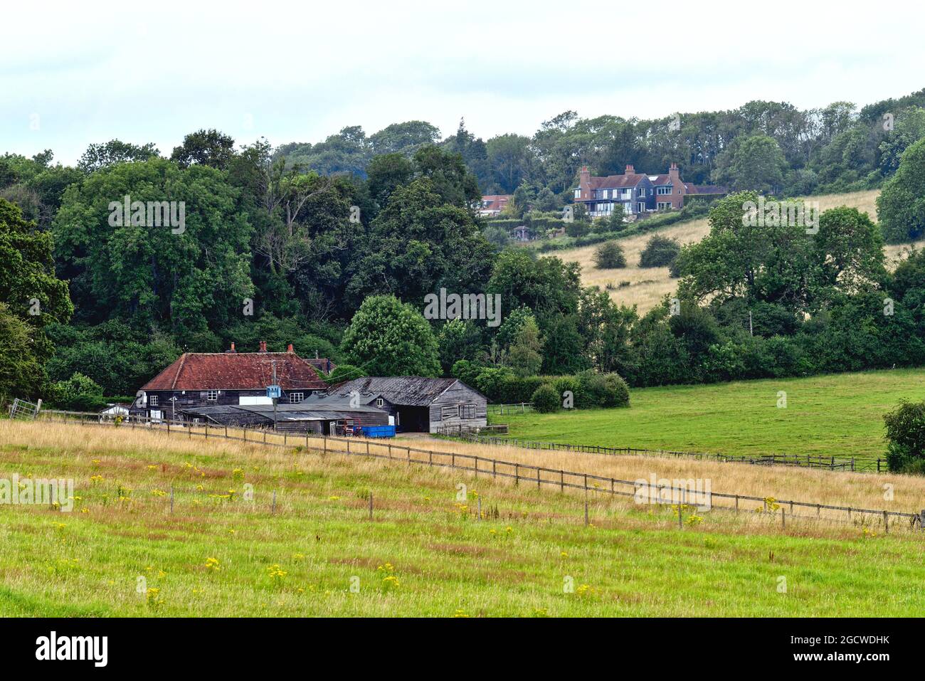 Fattoria e case private sul North Downs vicino Guildford Surrey Inghilterra UK Foto Stock