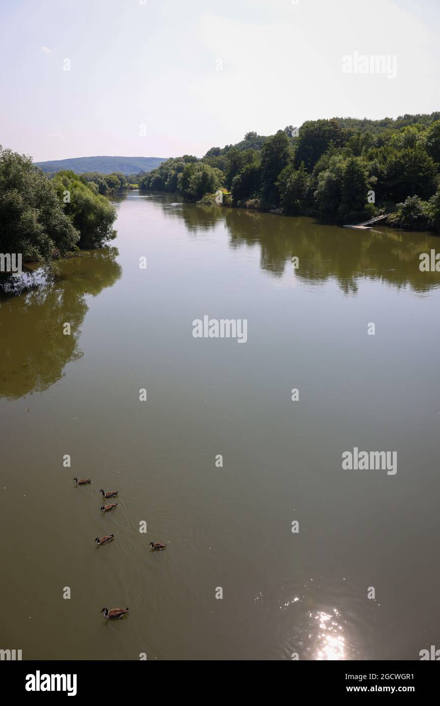 Witten, Renania Settentrionale-Vestfalia, Germania - paesaggio della Ruhr, la Ruhr nella valle del Muttental. Foto Stock