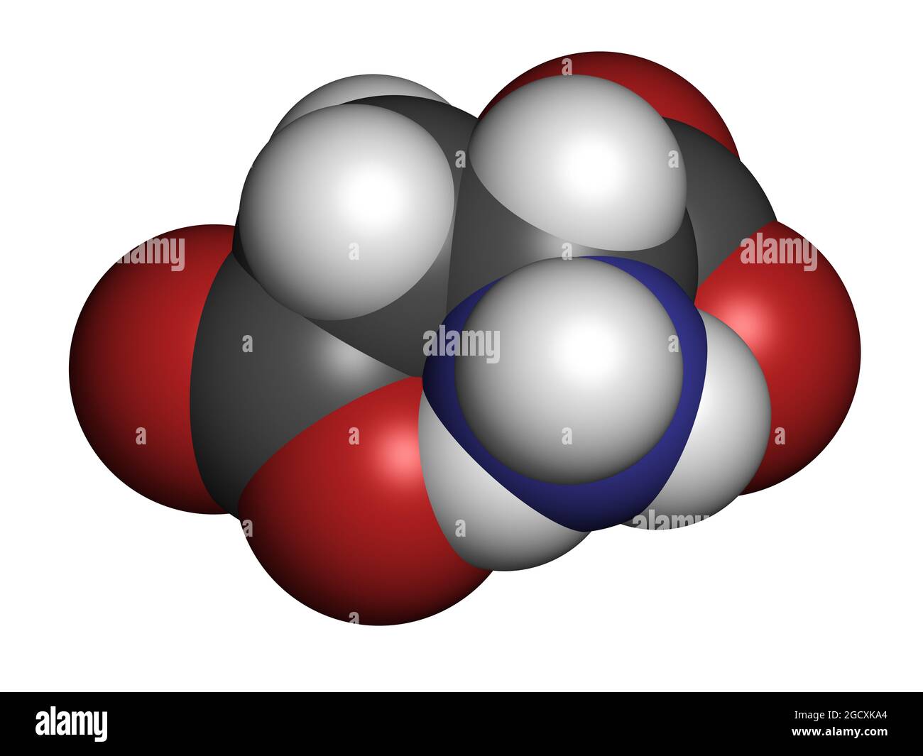 Molecola amminoacidica di acido D-aspartico (D-aspartato). Rendering 3D. Foto Stock