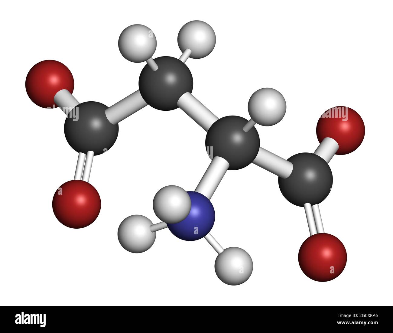 Molecola amminoacidica di acido D-aspartico (D-aspartato). Rendering 3D. Foto Stock