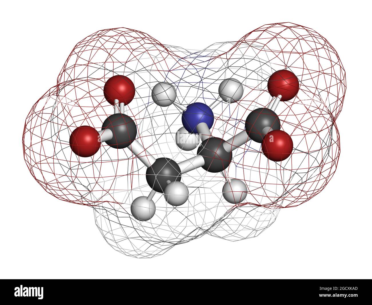 Molecola amminoacidica di acido D-aspartico (D-aspartato). Rendering 3D. Foto Stock