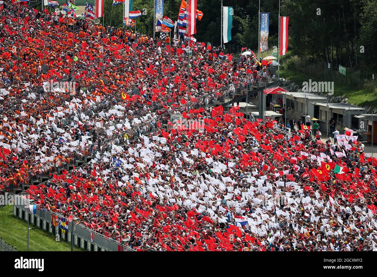 Tifosi nella tribuna. Gran Premio d'Austria, domenica 9 luglio 2017. Spielberg, Austria. Foto Stock