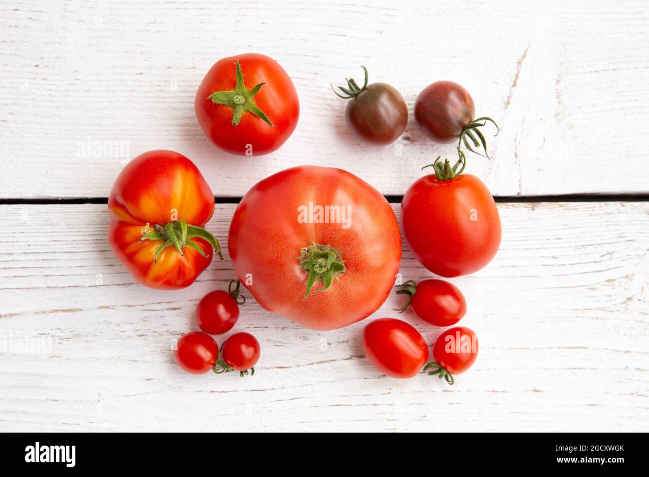 Sopra la vista o gruppo di pomodori di forma, dimensioni e colori diversi in fila, copiare spazio su sfondo bianco marrone. Foto Stock