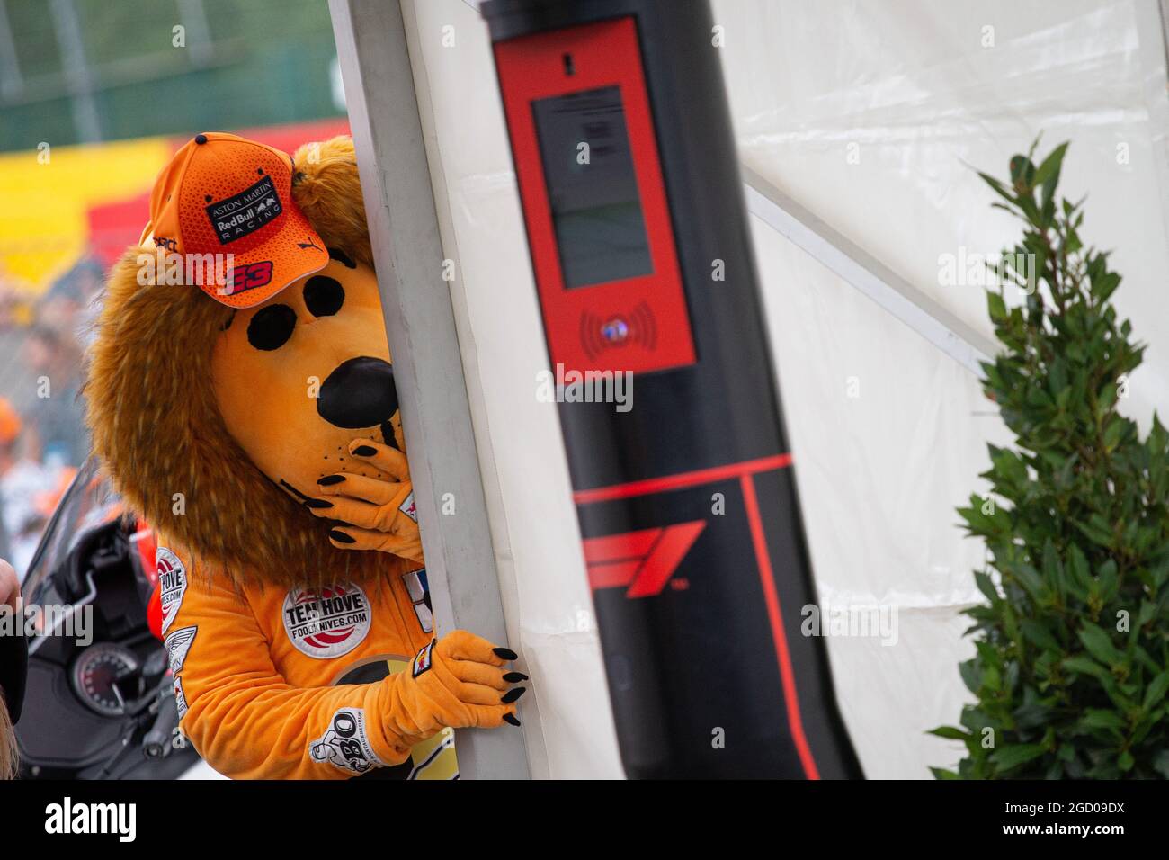 Max Verstappen (NLD) Red Bull Racing tifoso di leoni. Gran Premio del Belgio, giovedì 29 agosto 2019. Spa-Francorchamps, Belgio. Foto Stock