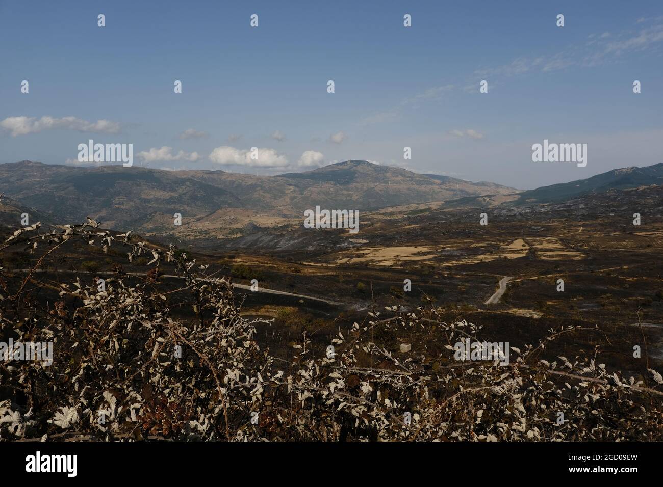 Vasto arson vicino alla città di Gangi in provincia di Palermo in Sicilia. Molte colture di campi agricoli e boschi bruciati, automobili degli agricoltori e persino animali da allevamento bruciati dalle fiamme. Foto Stock