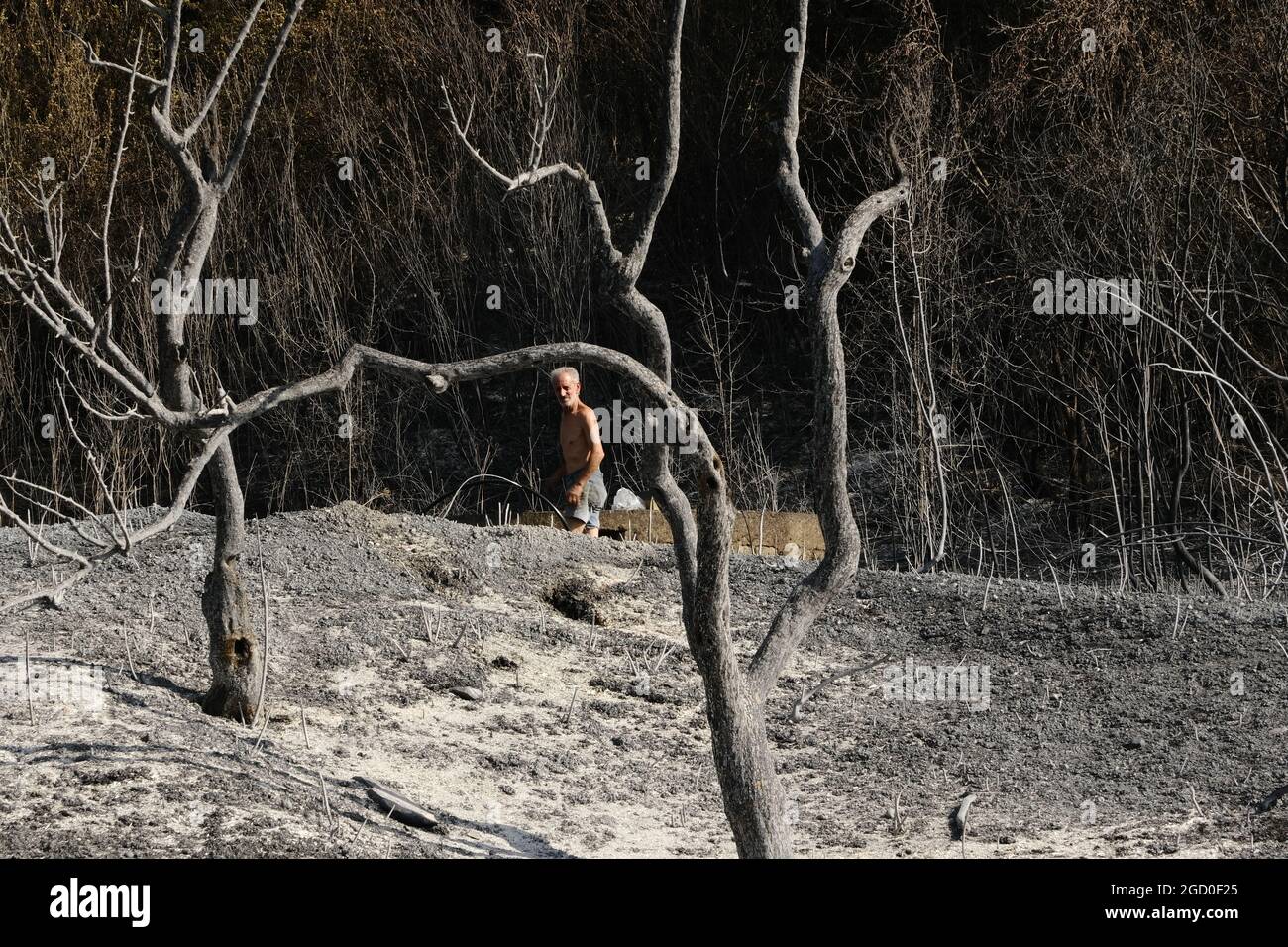 Vasto arson vicino alla città di Gangi in provincia di Palermo in Sicilia. Molte colture di campi agricoli e boschi bruciati, automobili degli agricoltori e persino animali da allevamento bruciati dalle fiamme. Foto Stock