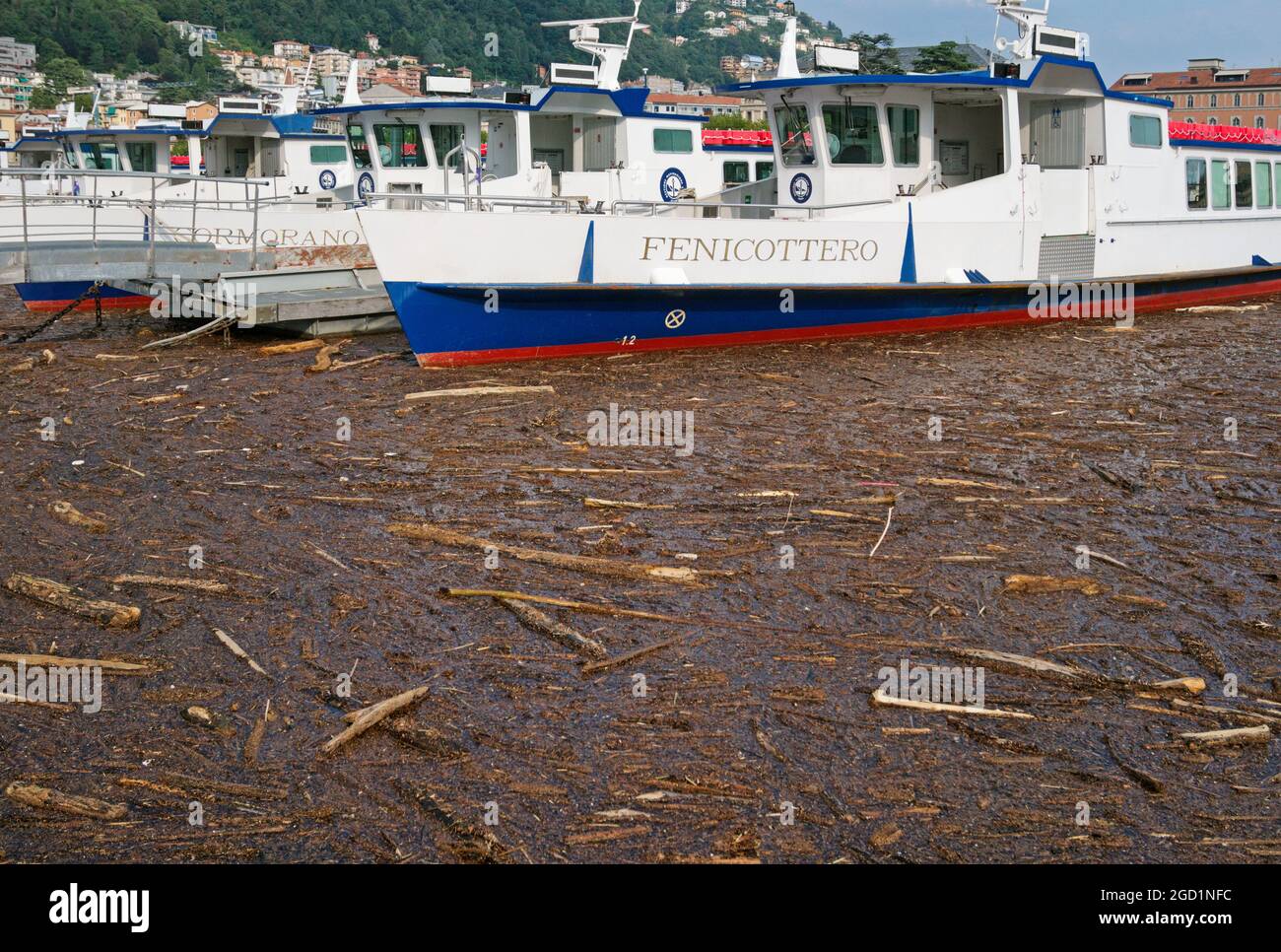 Frane e allagamenti riempiono il lago di Como con detriti galleggianti, Como, Italia Foto Stock