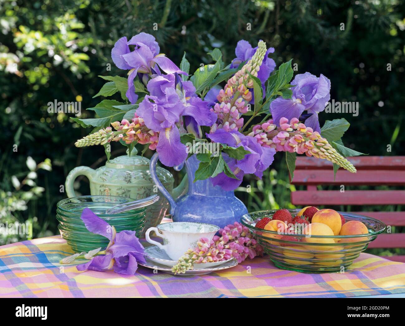 Botanica, lupin e iris in una caraffa su un tavolo in giardino, ACCESSIONAL-RIGHTS-CLEARANCE-INFO-NOT-AVAILABLE Foto Stock