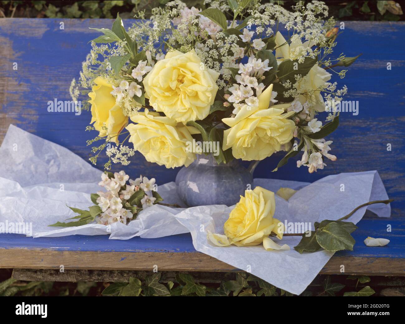 Botanica, rose e weigela su sfondo di legno dipinto di blu, ADDITIONAL-RIGHTS-CLEARANCE-INFO-NOT-AVAILABLE Foto Stock