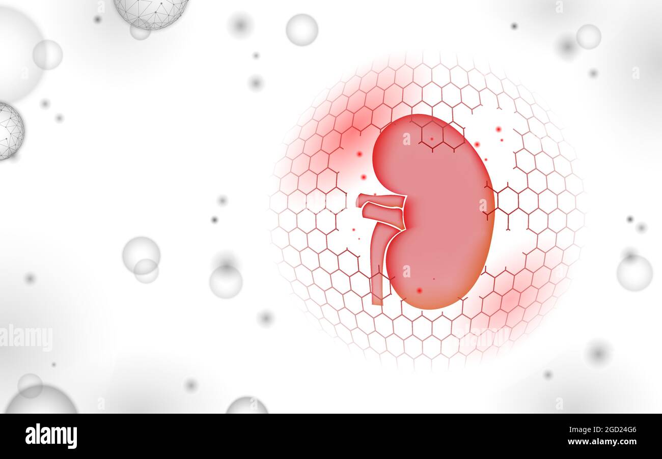Protezione dei reni umani in poli 3D basso. Tecnologia di recupero della medicina concetto di medicina della droga. Illustrazione vettoriale Illustrazione Vettoriale