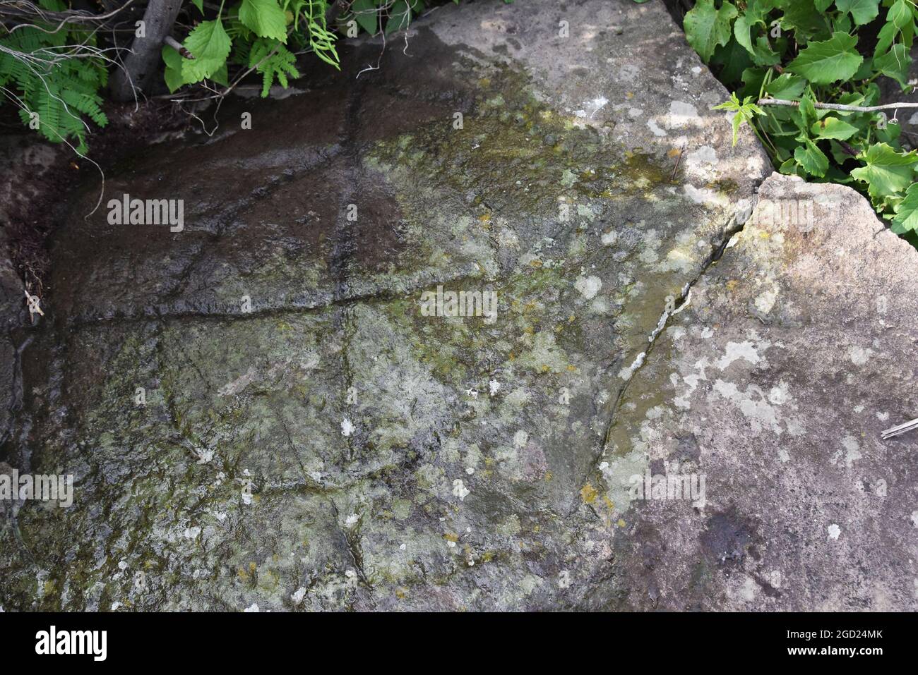 Croce Pecked (cruz punteada), una scultura pre-ispanica di roccia molto probabilmente usato come dispositivo astronomico. Foto Stock