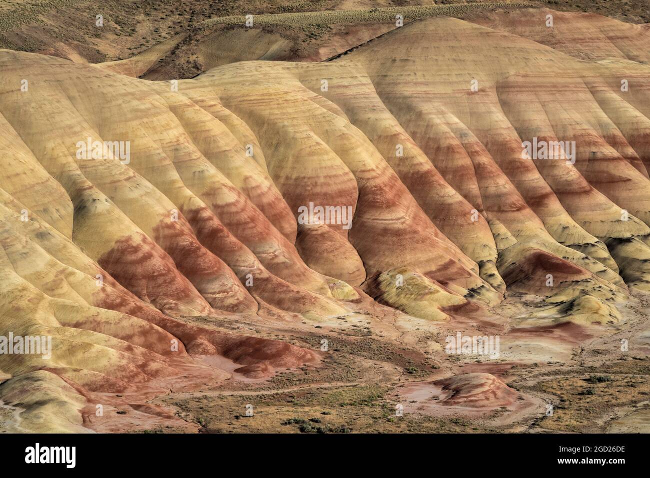 Colline dipinte, unità di John Day Fossil Beds National Monument, Oregon. Foto Stock