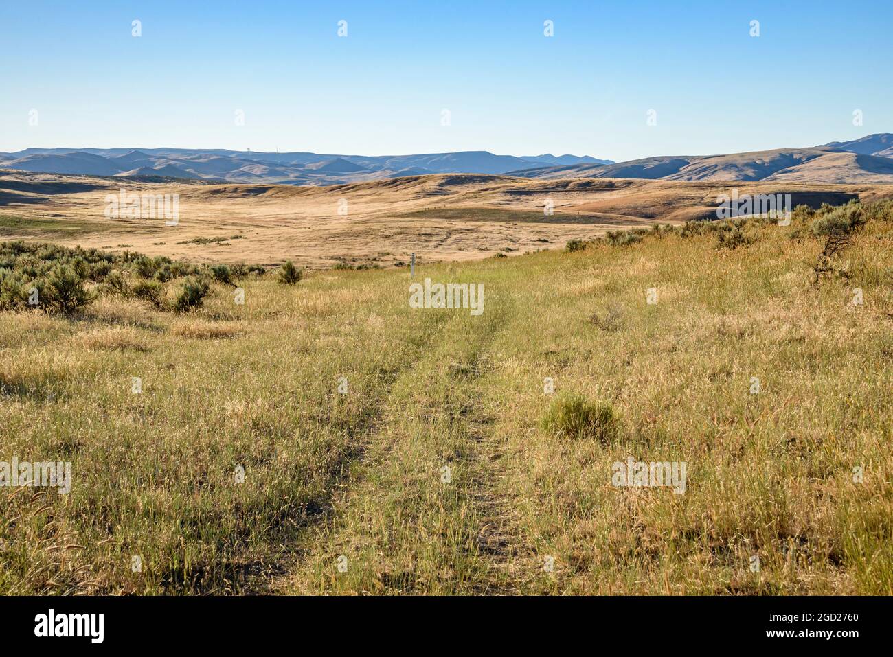 Old Oregon Trail vagone solchi a Birch Creek Trail sito vicino alla città di Huntington nell'Oregon orientale. Foto Stock