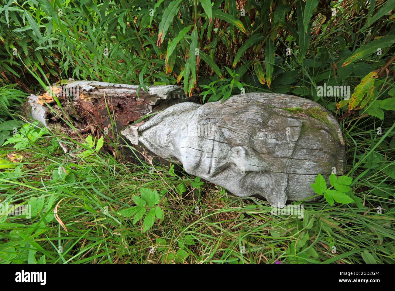 Frank Bruce Sculpture Trail, Feshie Bridge, Lower Glen Feshie, Aviemore, Highlands, Scozia, Regno Unito, Europa Foto Stock