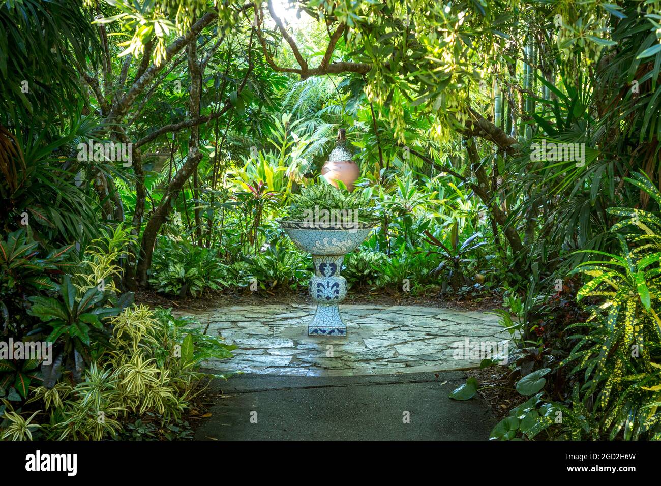 Pentola di piantatura nel mezzo della sezione asiatica al giardino botanico di Napes, Napoli, Florida, Stati Uniti Foto Stock
