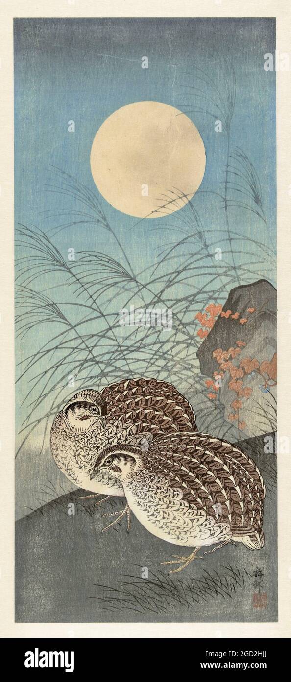Opera di Ohara Koson intitolata due quaglie alla Luna piena Foto Stock