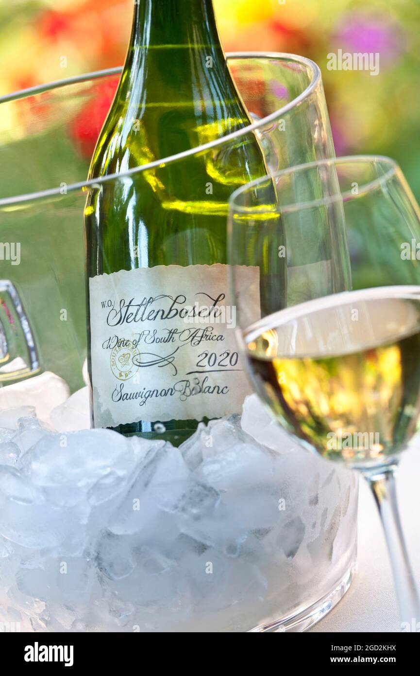 Stellenbosch Sud Africa Sauvignon Blanc 2020 bottiglia di vino in vetro e secchio di ghiaccio in un giardino soleggiato all'aperto Foto Stock